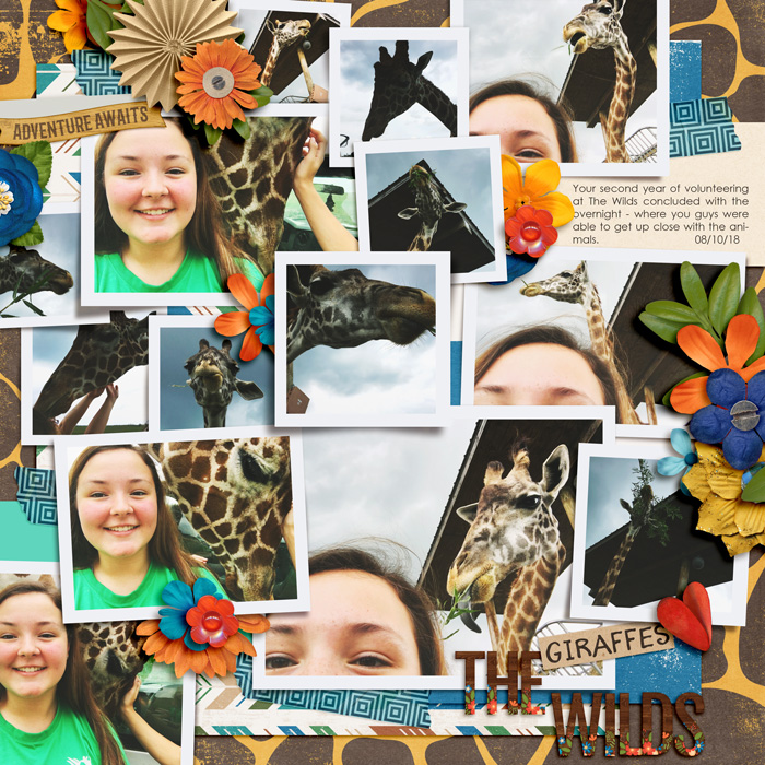 The Wilds