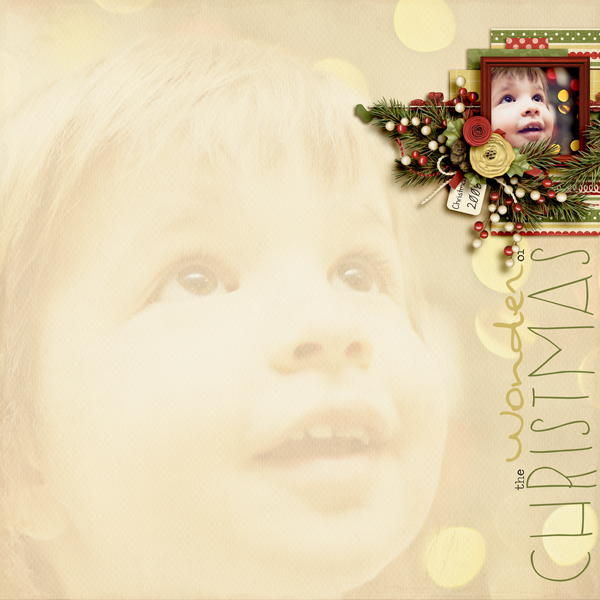 The Wonder Of Christmas