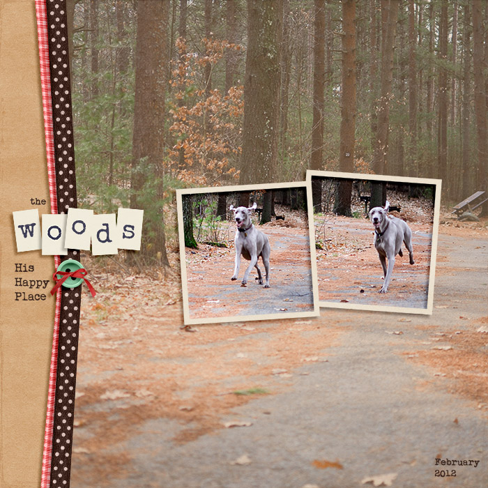 The Woods