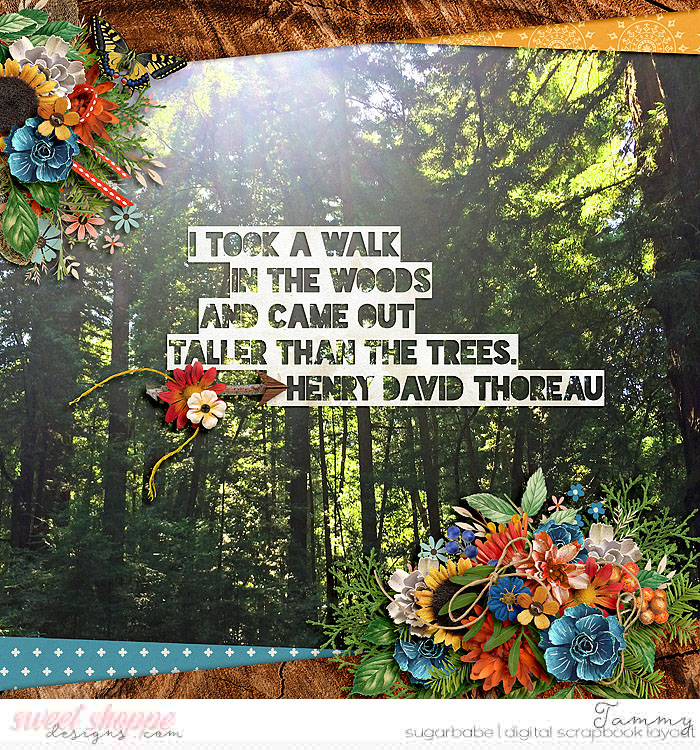 The Woods