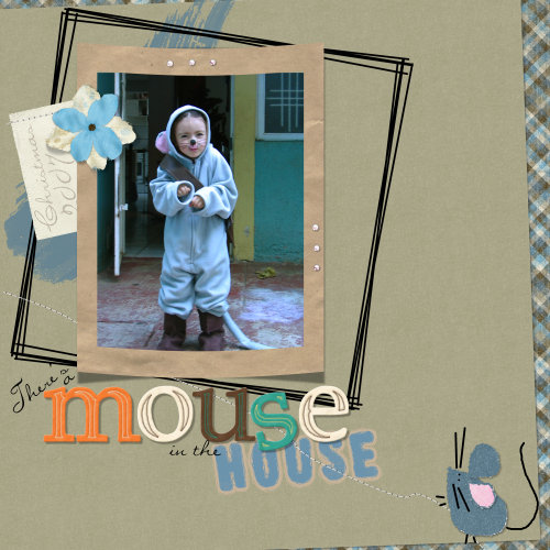 there's a mouse in the house