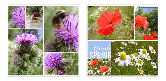 Think spring