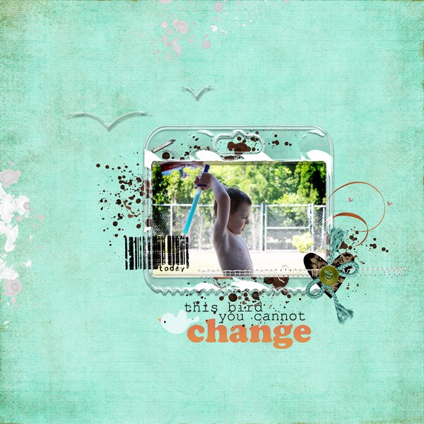 This Bird You Cannot Change