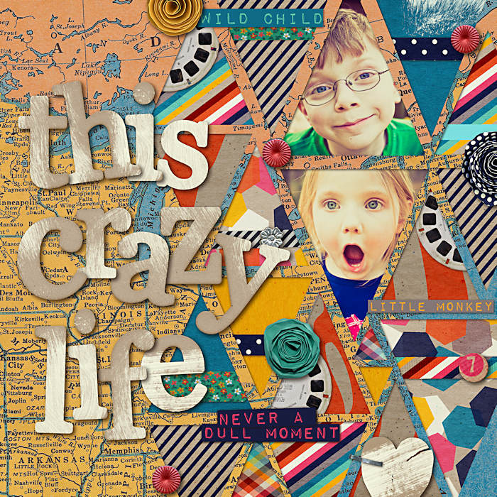 This Crazy Life