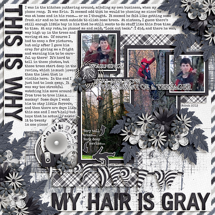 This Is Why My Hair Is Gray