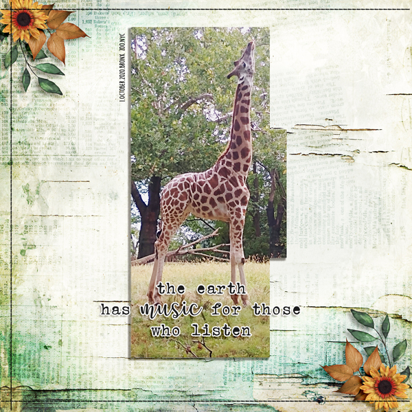 This & That - June 22 - 12b - Giraffe