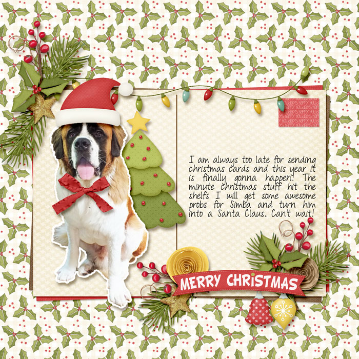 This years christmas card