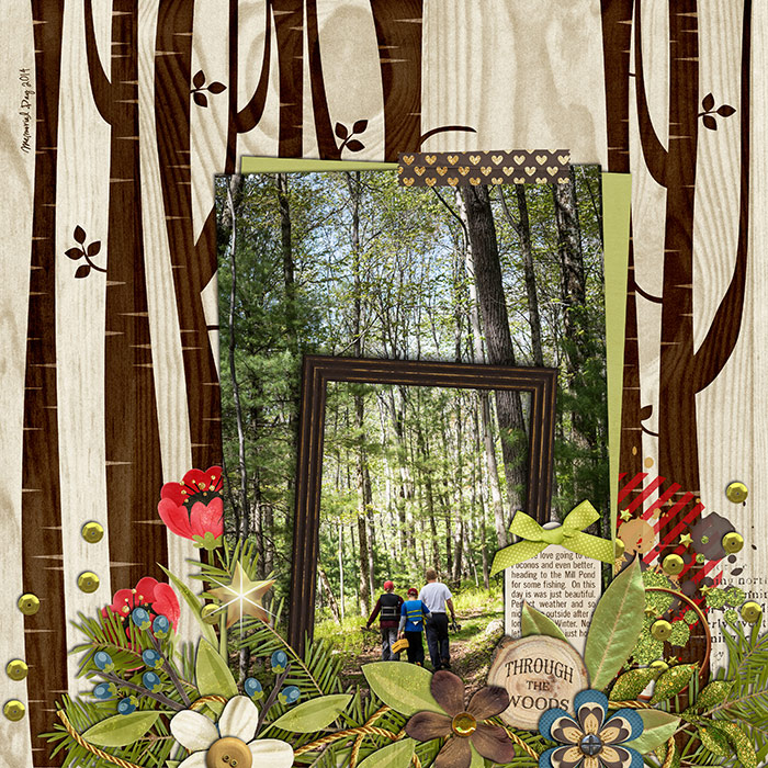 Through the Woods