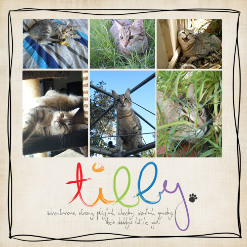 Tibby