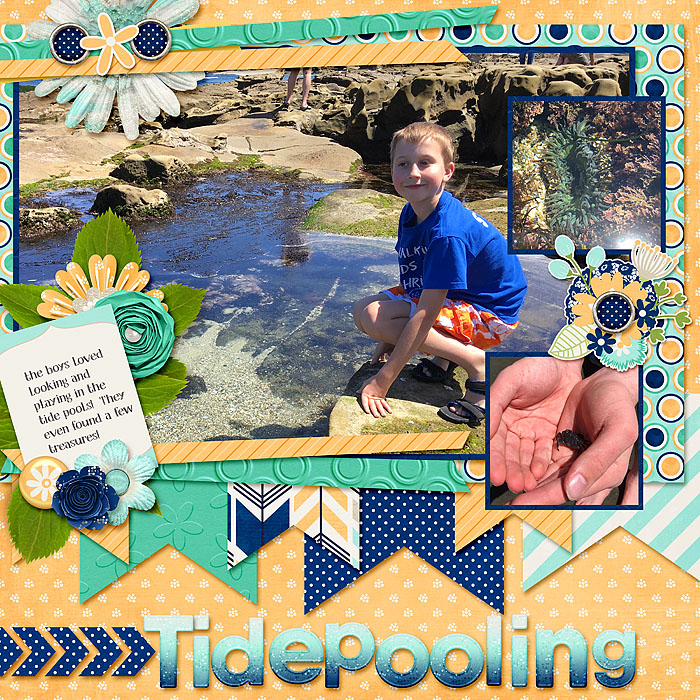 Tidepooling