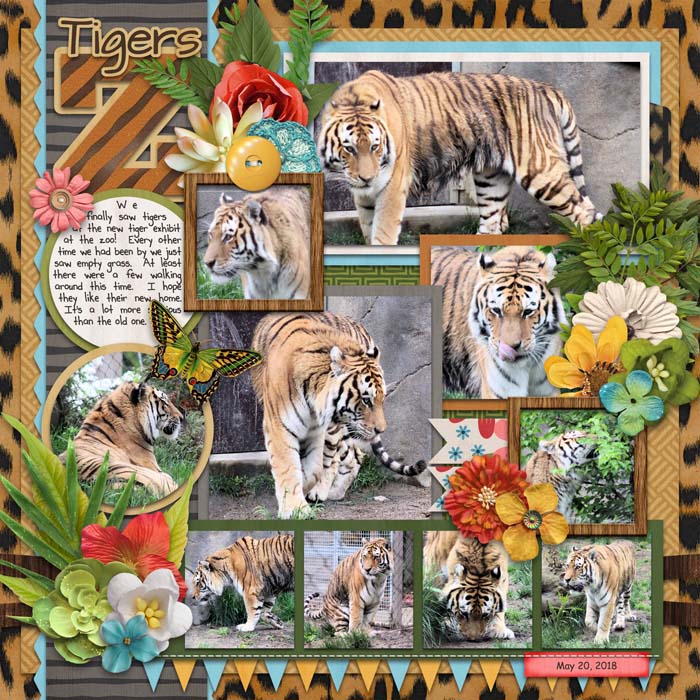 Tigers