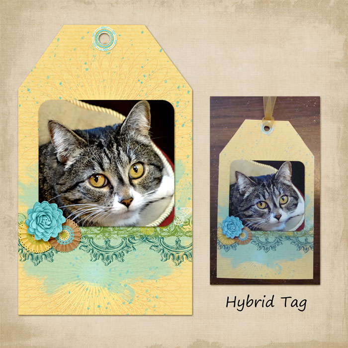 Tilly's Tag