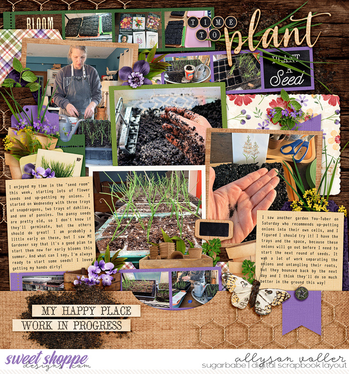 Time to Plant