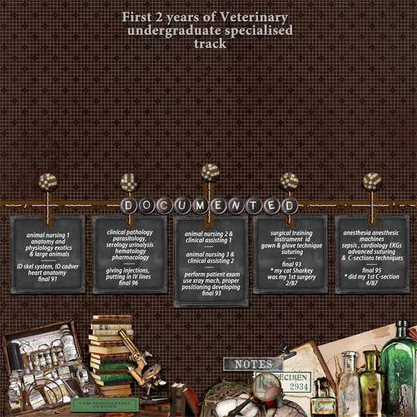 Timeline