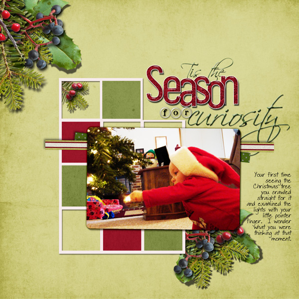 Tis the Season for Curiosity