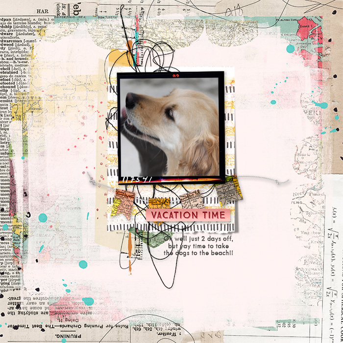 TNP-aniftytoolkit-PhotoMounts-TRACY