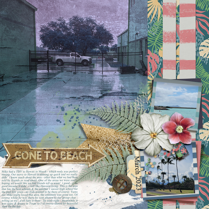 tnp-INTHECORNER-cheryl-lo2