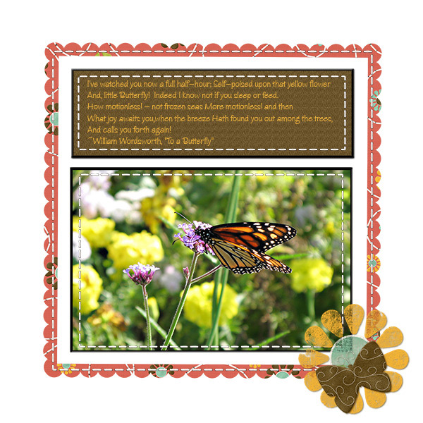 To a Butterfly