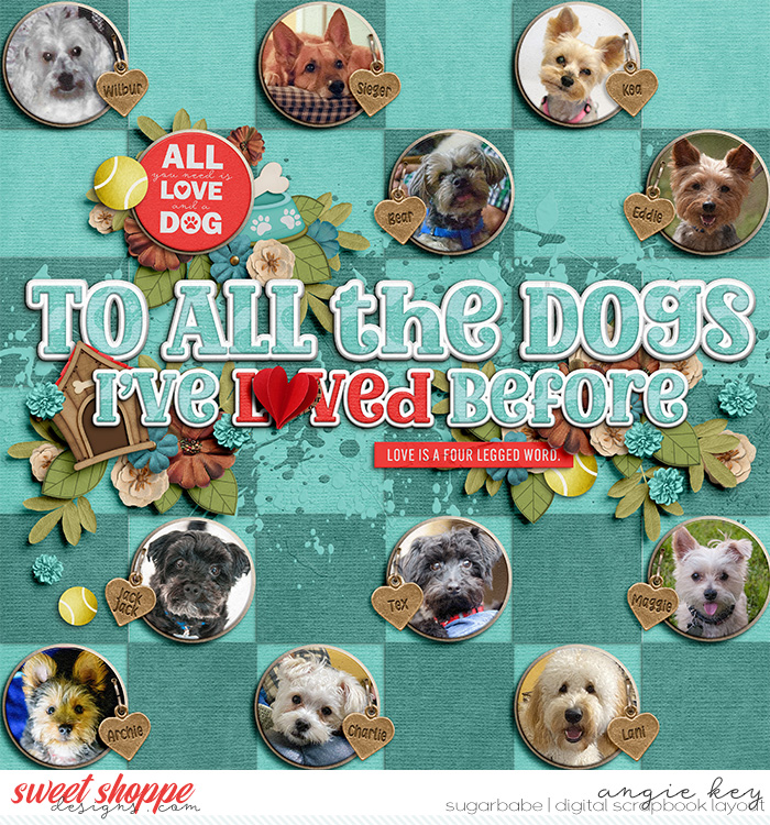 To All The Dogs I've Loved Before