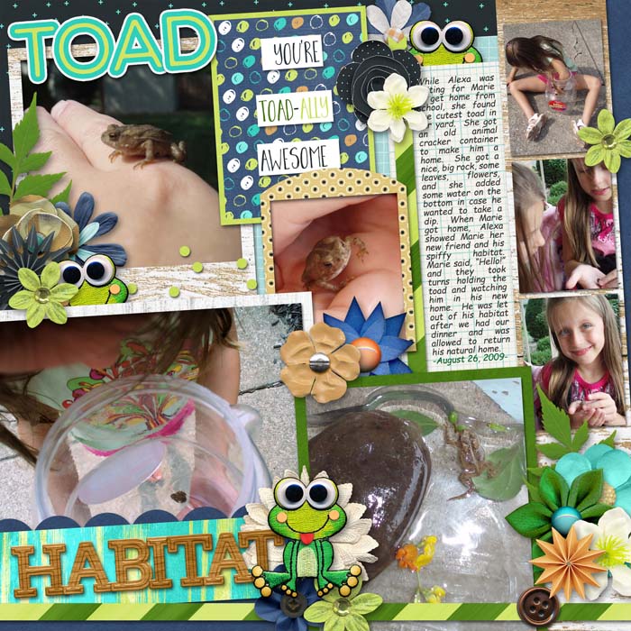 Toad Habitat
