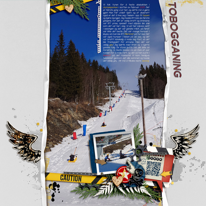 Tobogganing