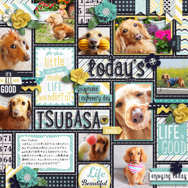 Today's Tsubasa