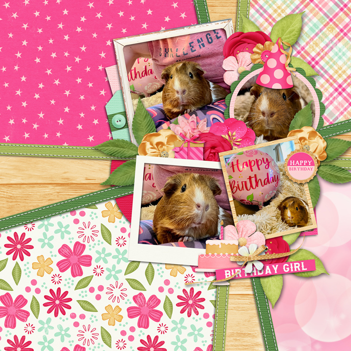Toffee is 4