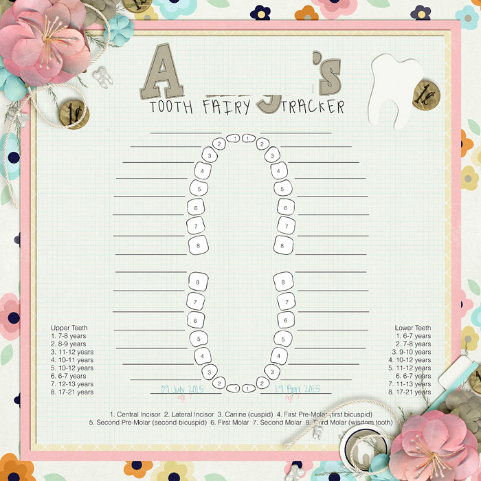 Tooth Chart