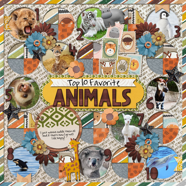 Top 10 Favorite Animals
