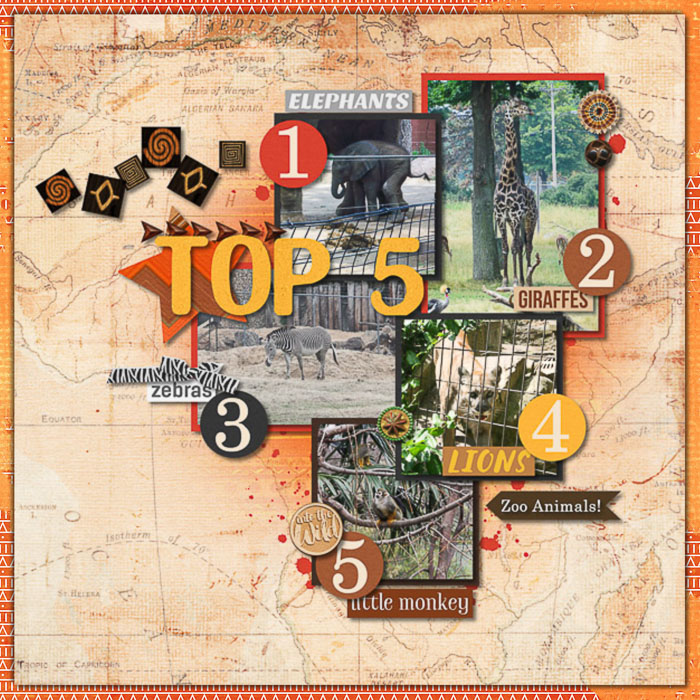 Top 5 Zoo Favorites