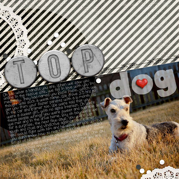 TOP DOG