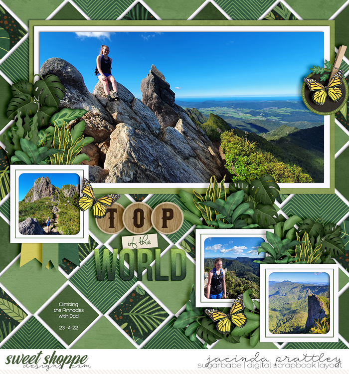 Top of the world