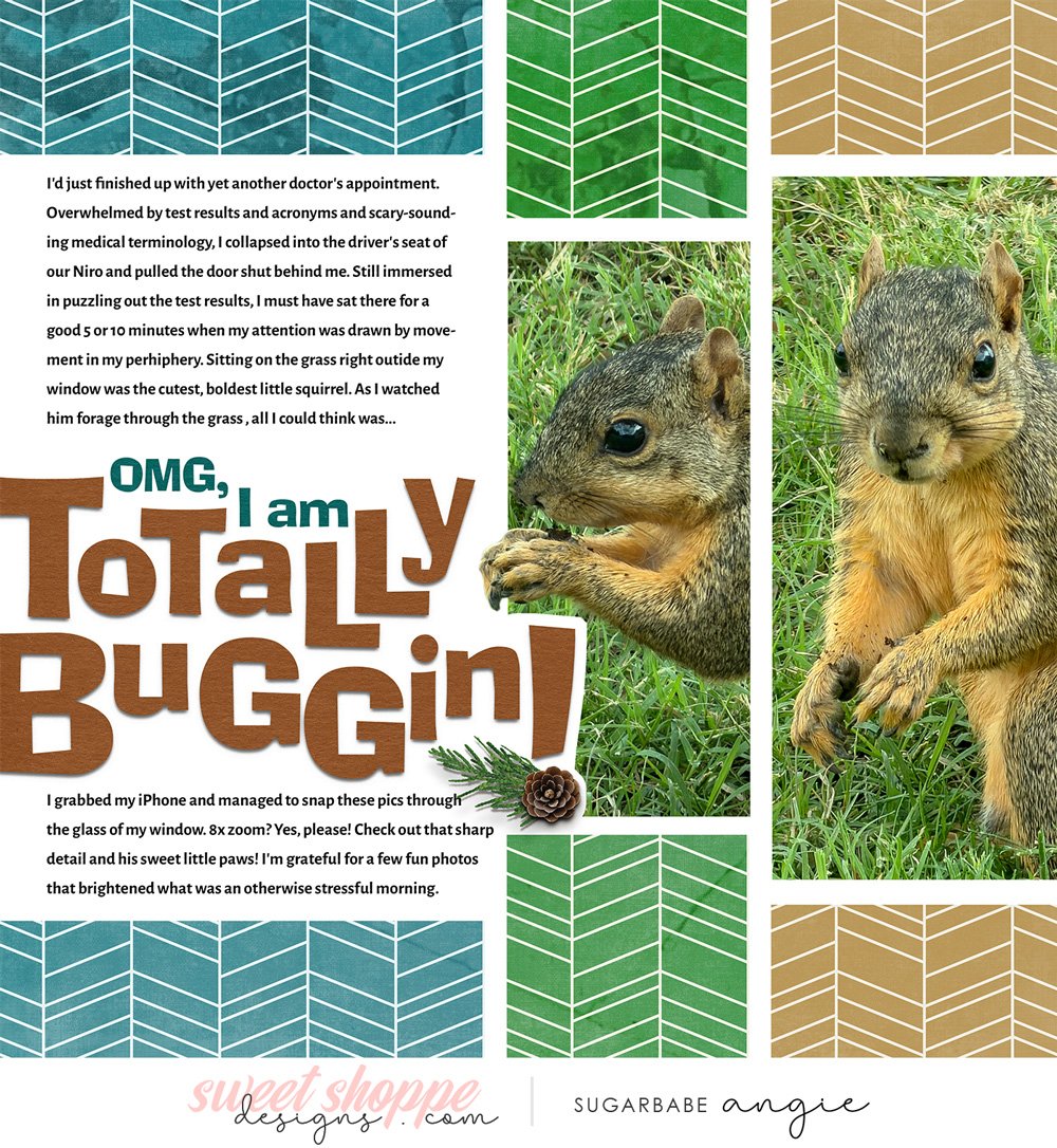 Totally Buggin!