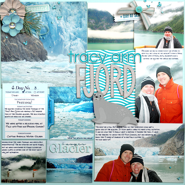 Tracy Arm Fjord