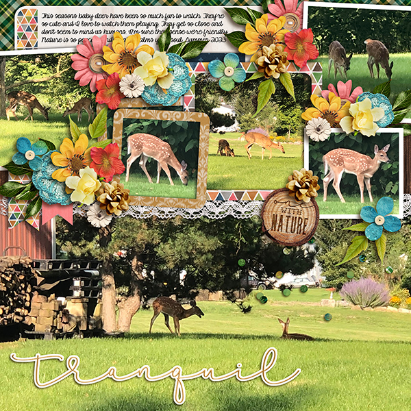 Tranquil