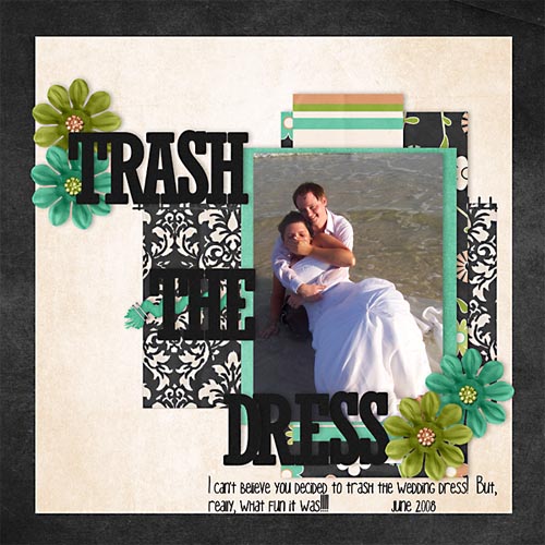 Trash the Dress