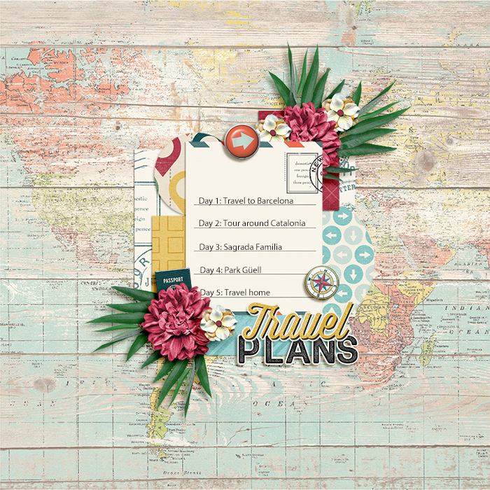 Travel Plans