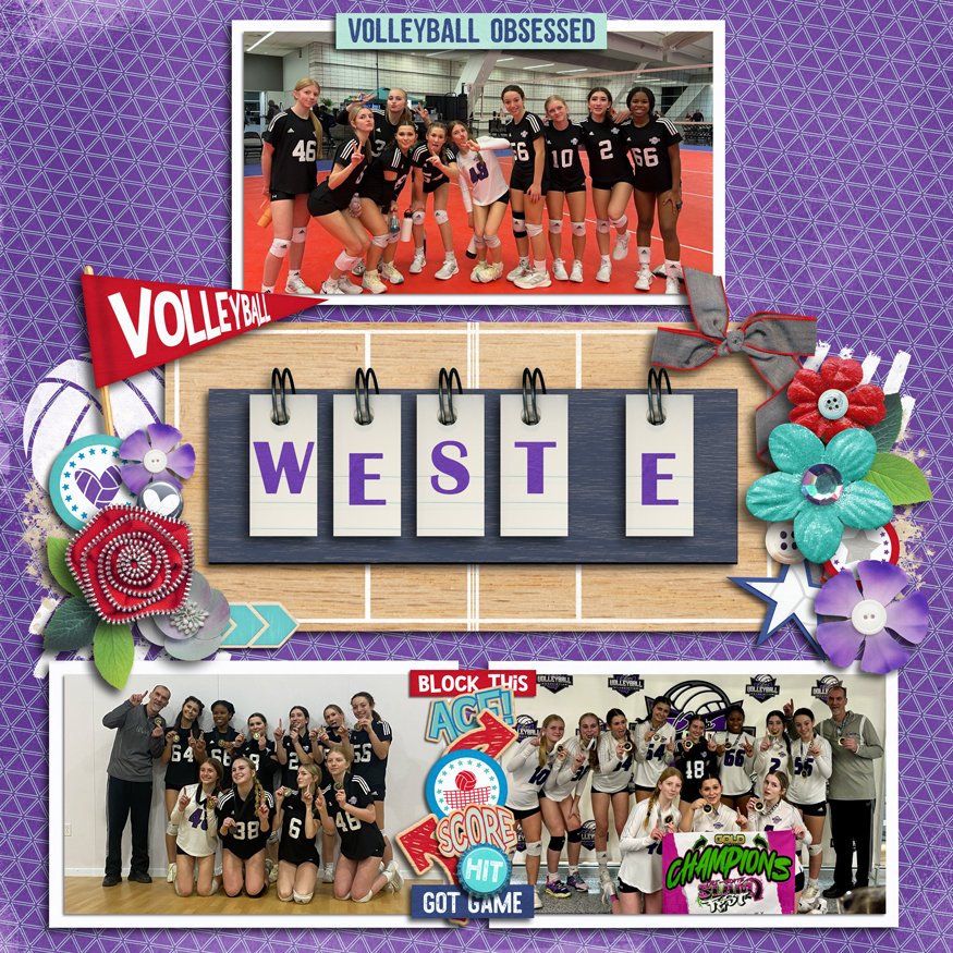 Travel VBall