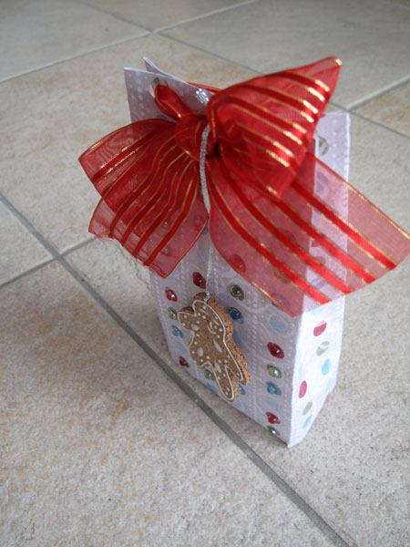 treatbag_mikulas_2010_gingerbreaddots_01_small