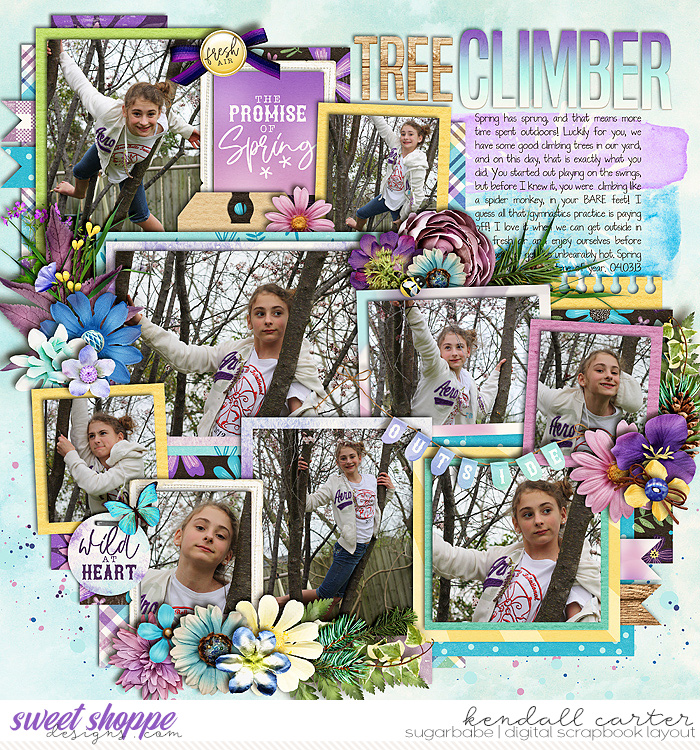 Tree Climber