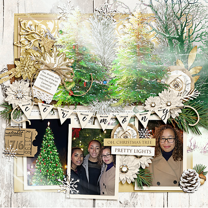 Tree Lighting Ceremony