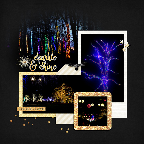 Tree Lights at Longwood Gardens, right