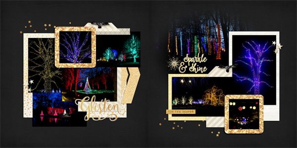 Tree Lights at Longwood Gardens
