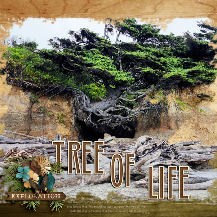 Tree of Life