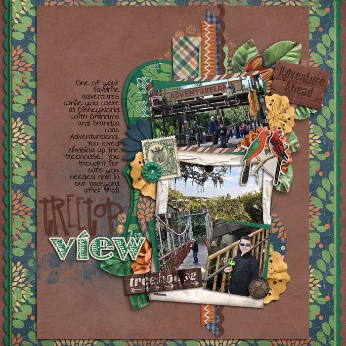 treetop view