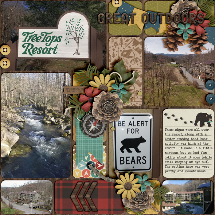 Treetops Resort