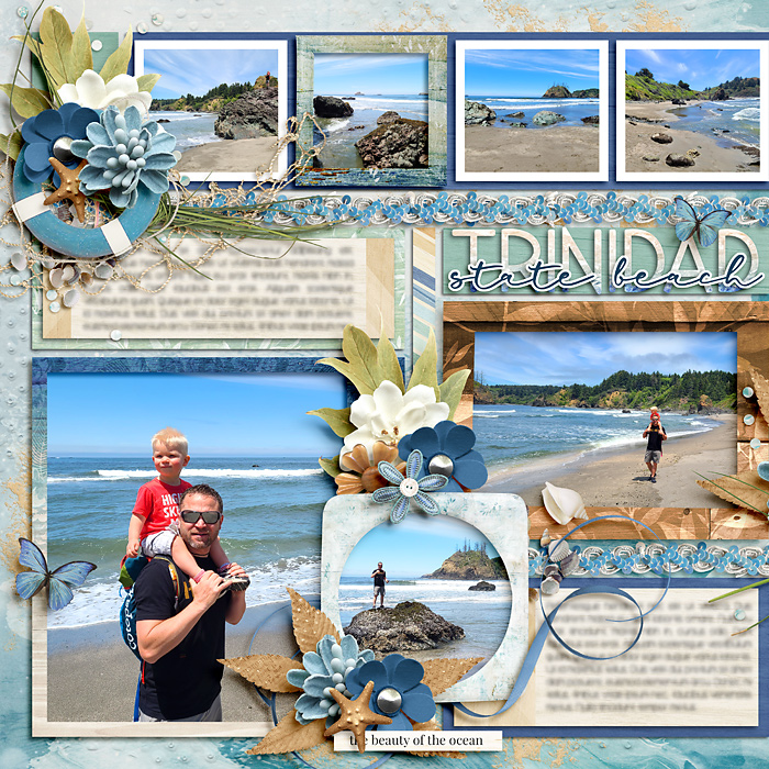 Trinidad State Beach
