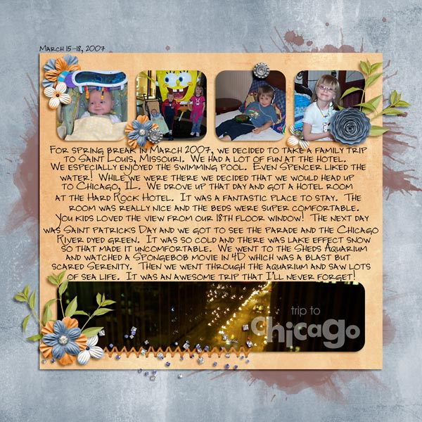 Trip to Chicago