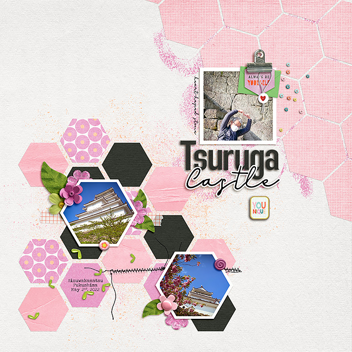 Tsuruga Castle