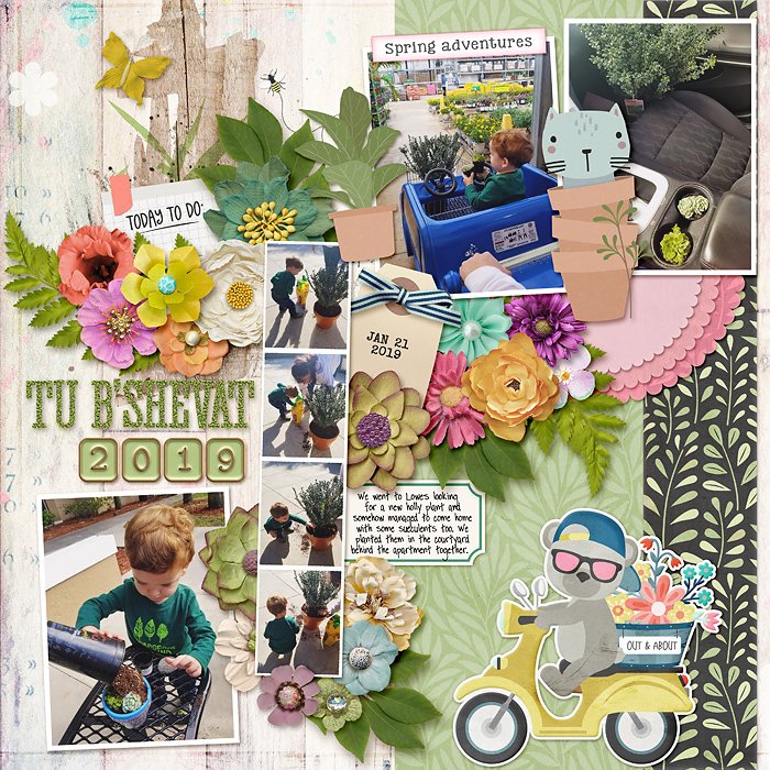 Tu B'Shevat 2019